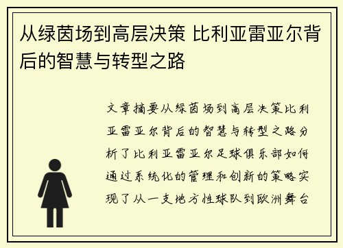 从绿茵场到高层决策 比利亚雷亚尔背后的智慧与转型之路